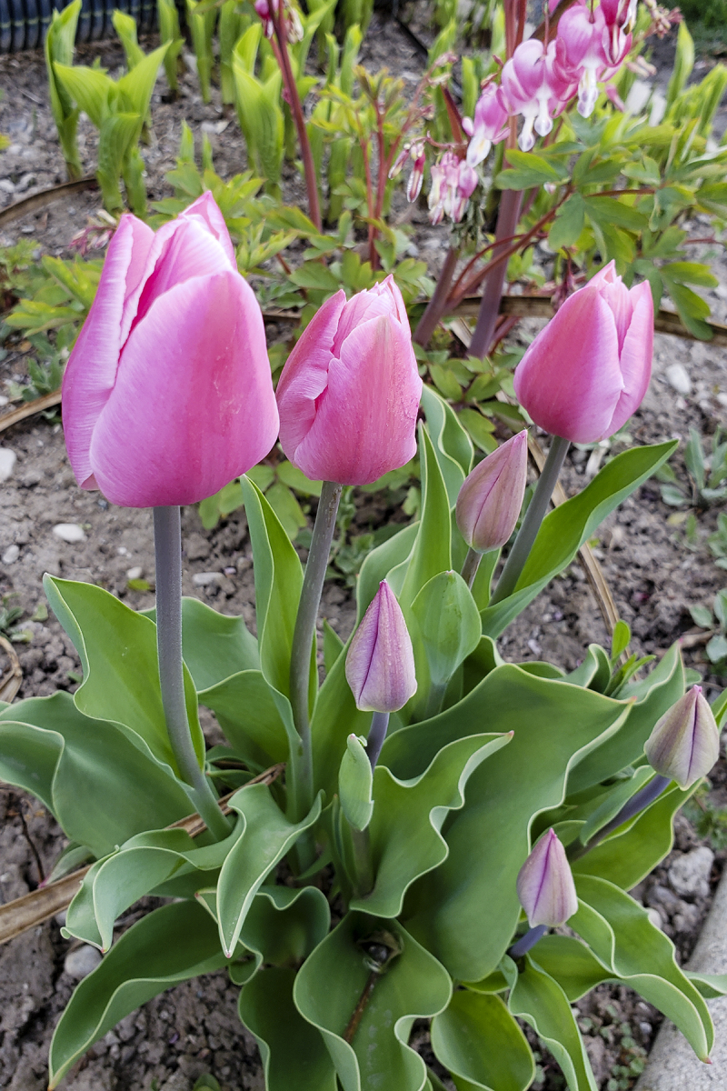 18 on the 18th april 03 18 on the 18th april 03