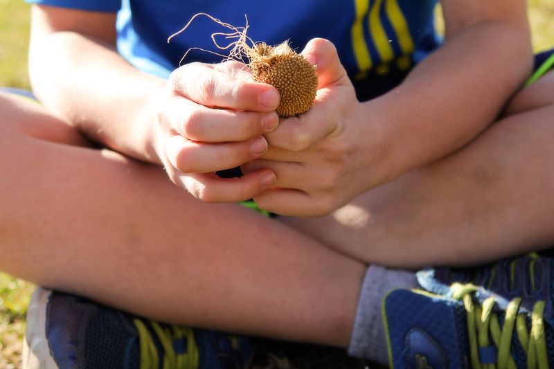 IMG_2242 kaleb 4x6 IMG_2242 kaleb 4x6